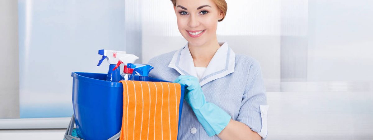 Commercial and Domestic Cleaning Businesses