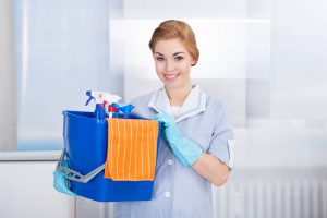 Commercial and Domestic Cleaning Businesses