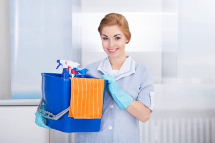 Commercial and Domestic Cleaning Businesses