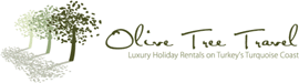 Olive Tree Travel